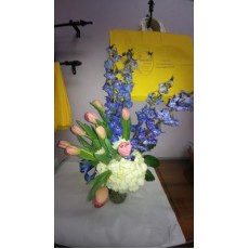 Tulip and more